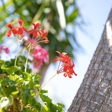 La Lantana Villa Marina di Ragusa Buitenkant foto