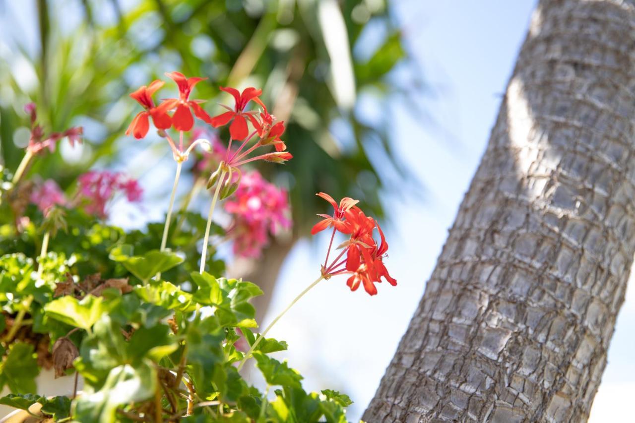 La Lantana Villa Marina di Ragusa Buitenkant foto